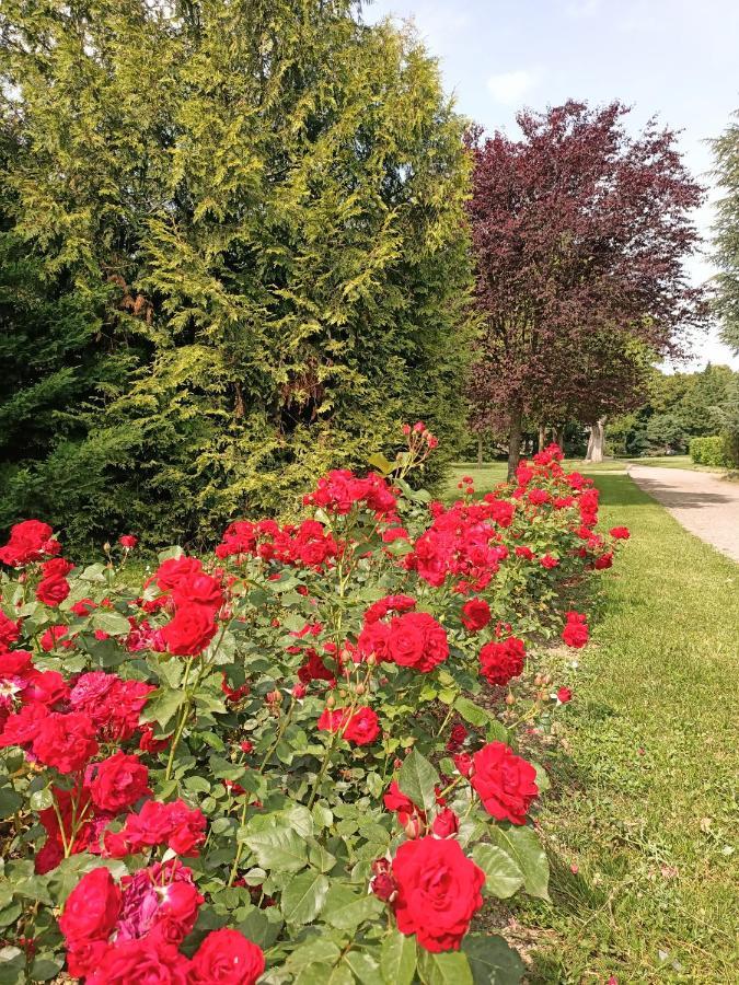 Domaine Du Perrier Bed & Breakfast *