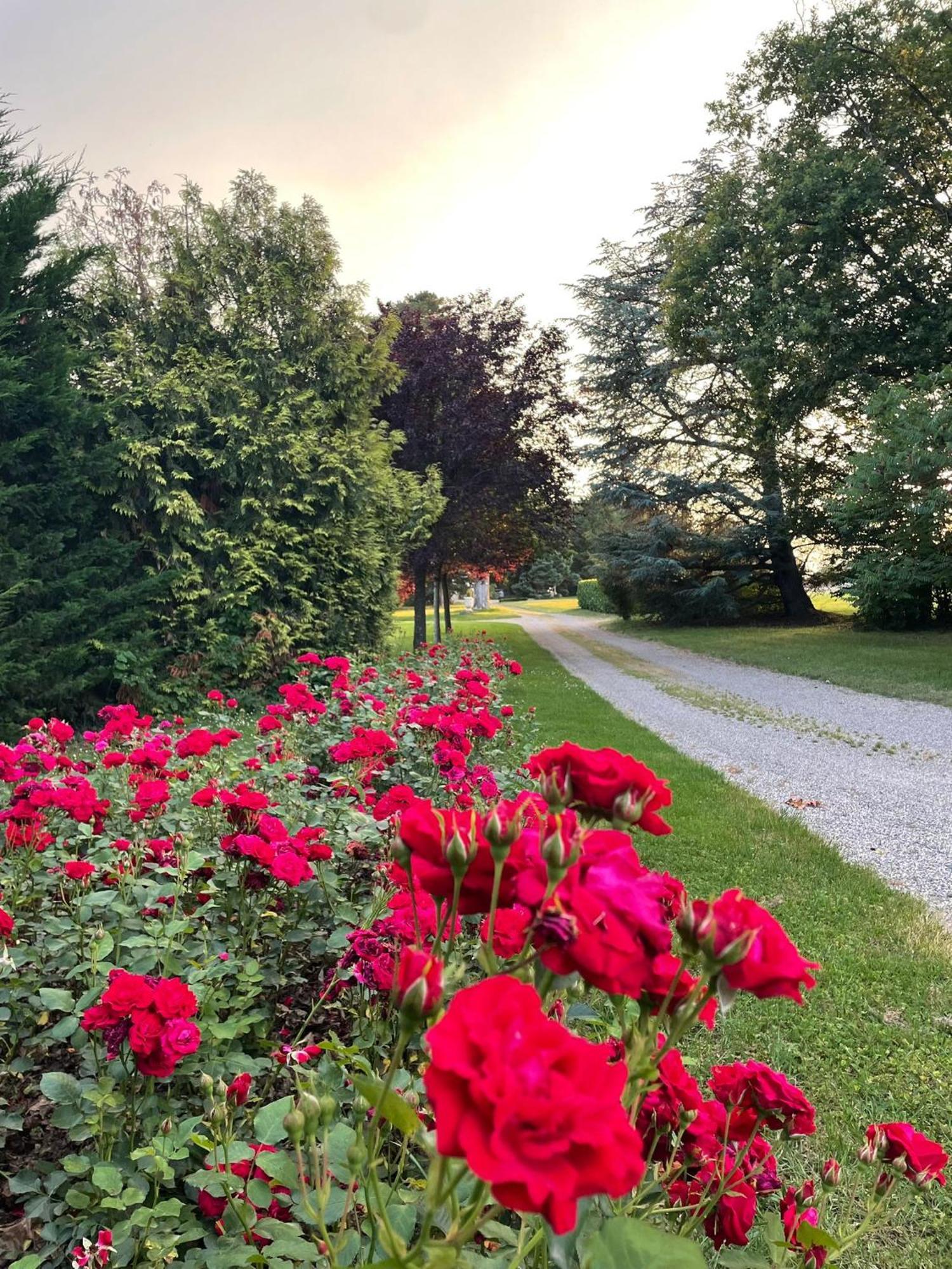 Domaine Du Perrier Bed & Breakfast *